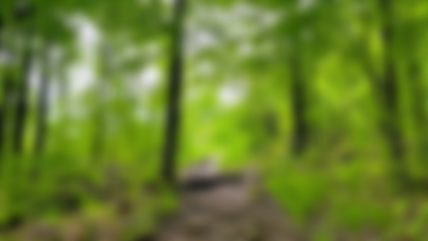 Memories of Gatineau Park