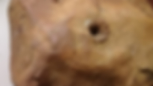 PETRIFIED STEAK