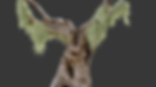 SPANISH MOSS
