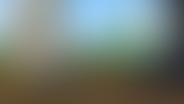 4K animation download