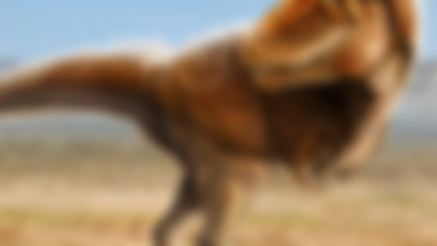 Paleo Bites Ep. 240: Lythronax, the Gore King (EARLY ACCESS)