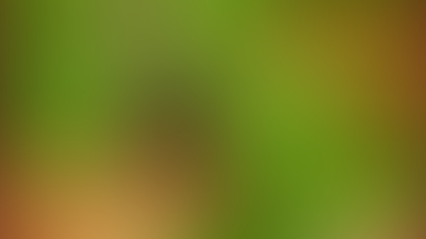 PVZ GARDEN WARFUCK 10