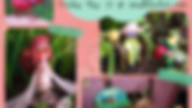 First Dibs! Strawberry Shop Update