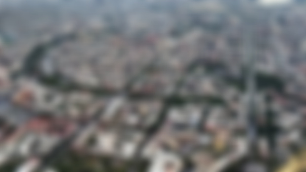 The Pink City
