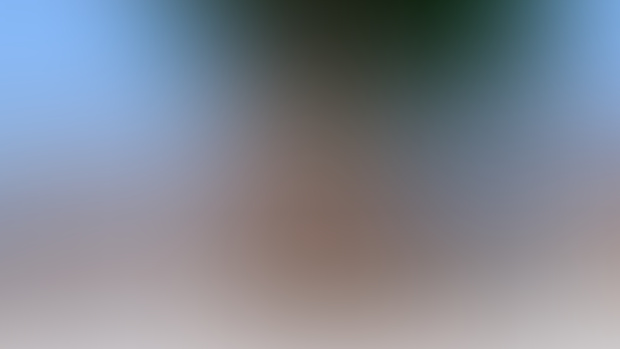 NSFW Wallpaper June 02024