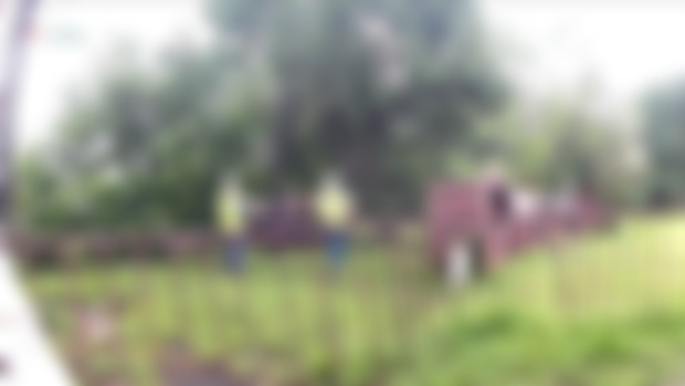 Patreon Day - Cancelled and New Dates