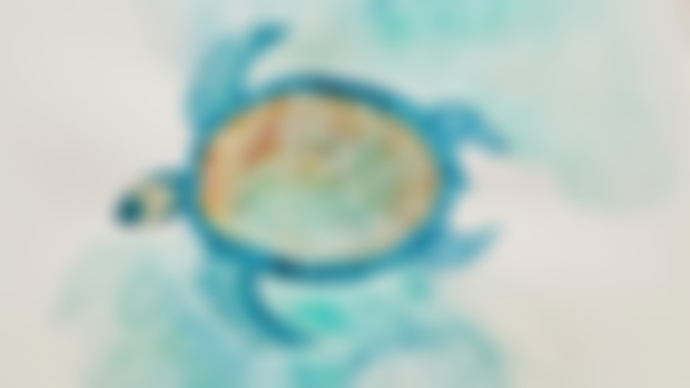 Spirit Medicine - Turtle