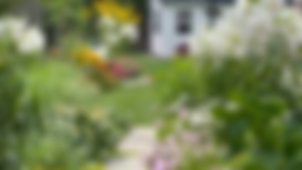 The back yard vibe. 