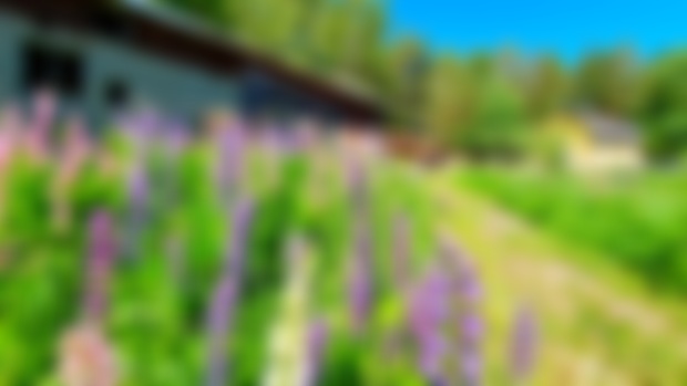Angela's Blog | May 2024