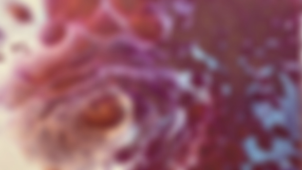 Sneak Peak