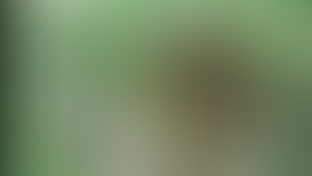 body texture with green forest thickets🧚🏼‍♂️🍃🏹