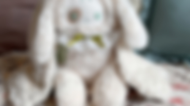 ⭐️closed⭐️ 🤍🐇Patreon Exclusive RTB🐇🤍 Amara the OOAK bunny house elkie 🤍