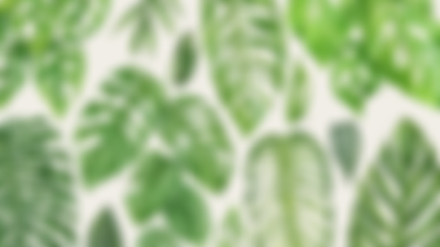 Monstera