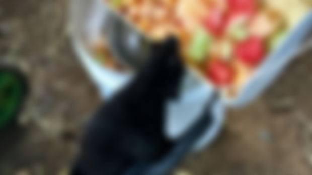 Do You Think She's In A Hurry To Be Fed?❤️🦇❤️