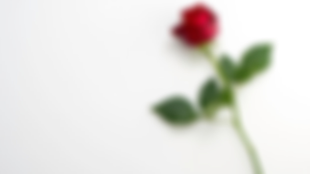 Patreon Member Love Tarot Special $44.44 Redeem June + July