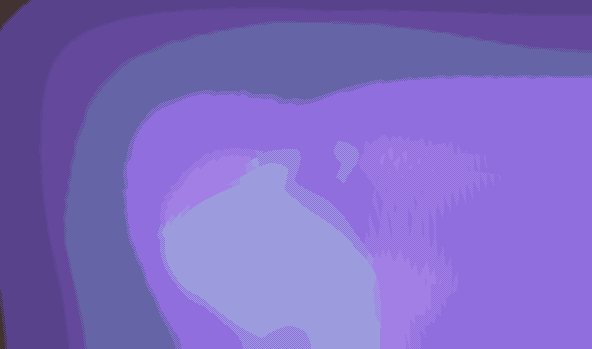 loyoy(bonus)