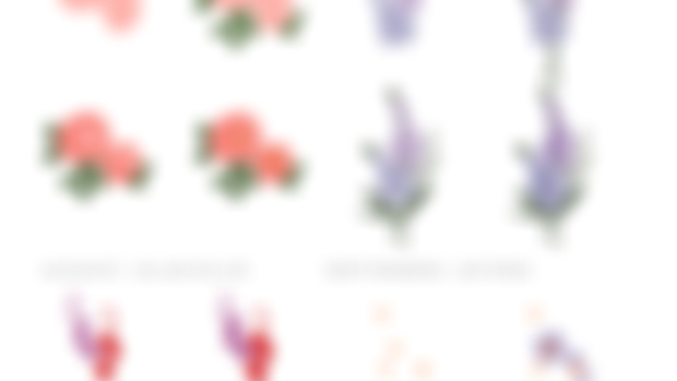 Summer Flowers Worksheet