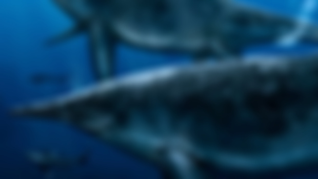 Paleo Bites Ep. 243: Ichthyotitan, the Fish Titan (EARLY ACCESS)