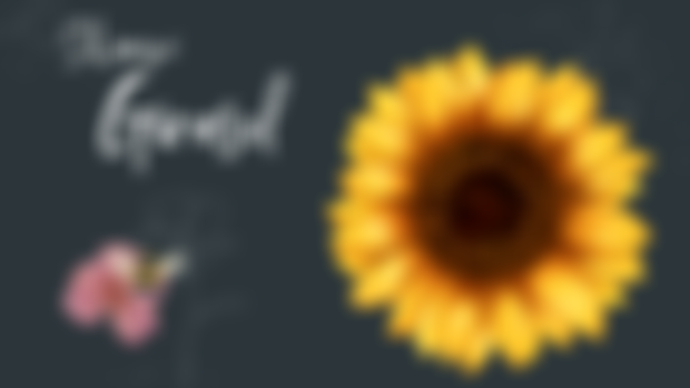 Girasol: Energía, Alegría y Gratitud