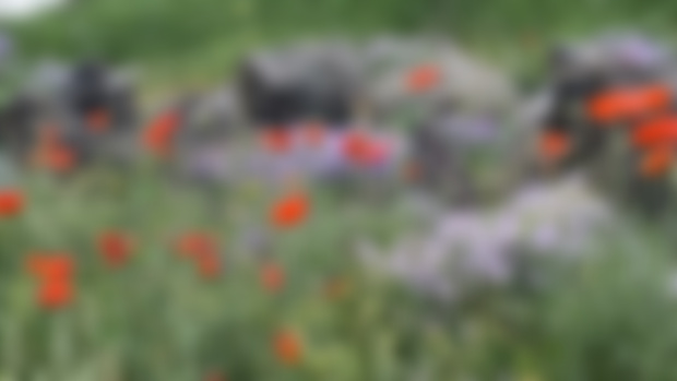 Sevan