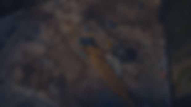 SN1 (16 Images)