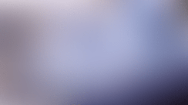 [gif,short] Elden ring Ranni the Witch cream pie