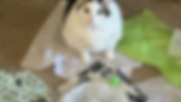 OH NO JUNE
