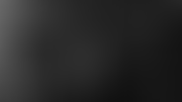 The Body Portrait (Announcement)