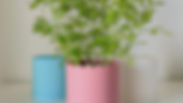 Planter 003 Set  – Scalloped, Columns, and Textured Designs