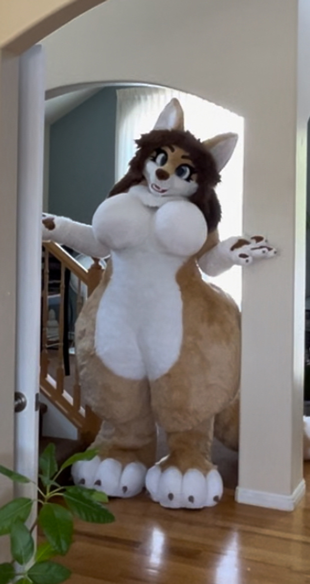 OFFICIAL) Connie Jonika Fursuit Reveal! | Patreon OFFICIAL) Connie Jonika Fursuit Reveal! | Patreon