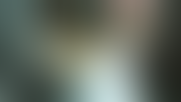 “Water lily” 