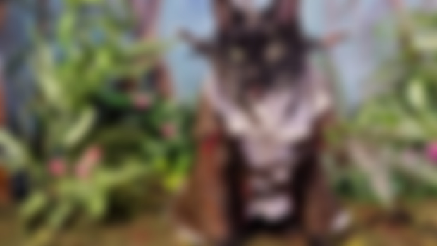 Our FINAL FANTASY XIV ads are coming out today!