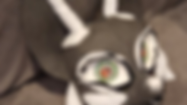 WIP 