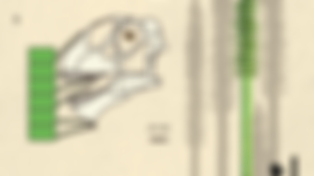 Supergiants and sauropods