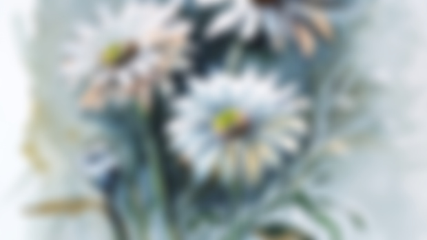 Prints for Daisies