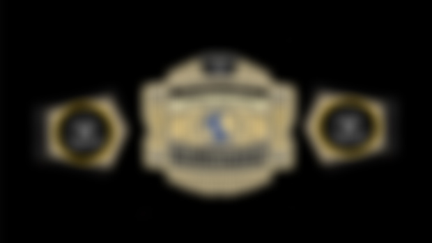 Do you guys want the Tag Team Titles back full time?