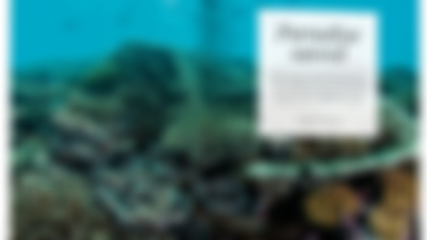 Paradise Saved: Making an MPA