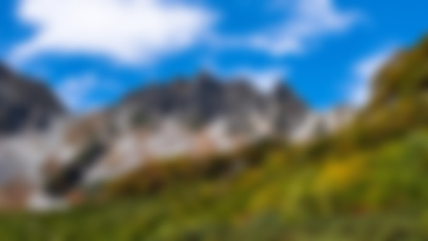 UPDATE #13: July 2024