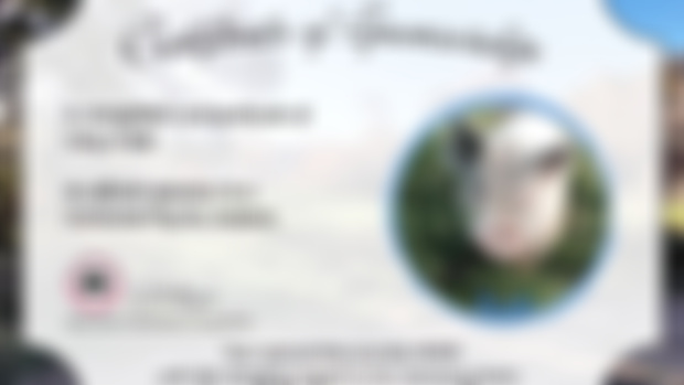 Your digital certificate of sponsorship