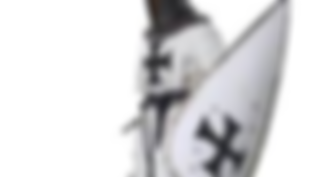 The Teutonic Knights