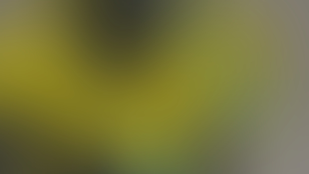 Zeraora WF VRC Port Beta Release!! 