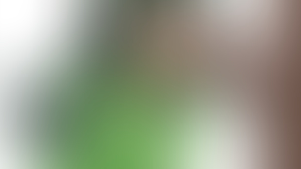 My Hero Academia Characters Pack