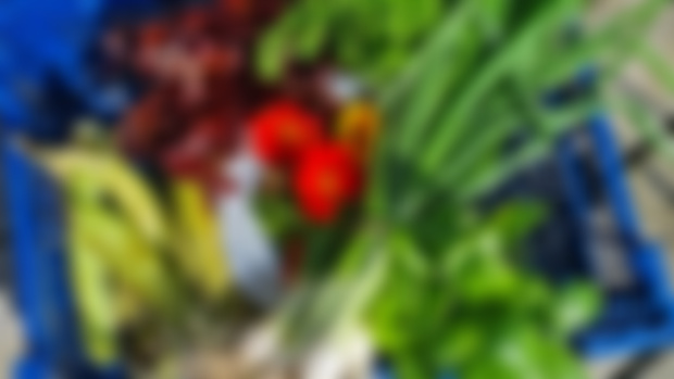 Veggie Box - July 14th