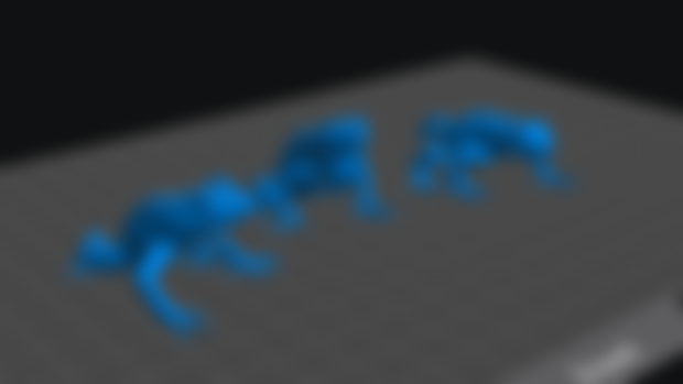 Poison Dart Frog Files