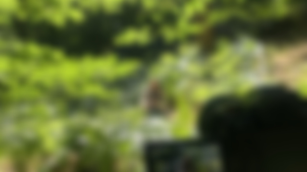 Behind the scenes…