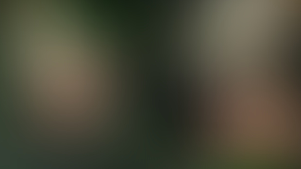 Upcoming Animation