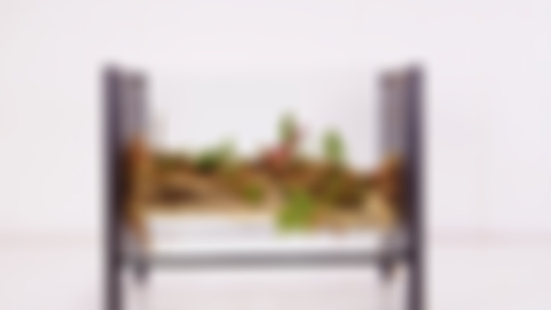 Floating Terrarium
