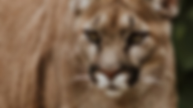 SNEAK PEEK! 👀 Chapter 30 of Aella's story