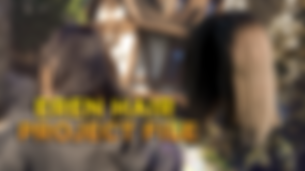 Eren Hair Project File for Download