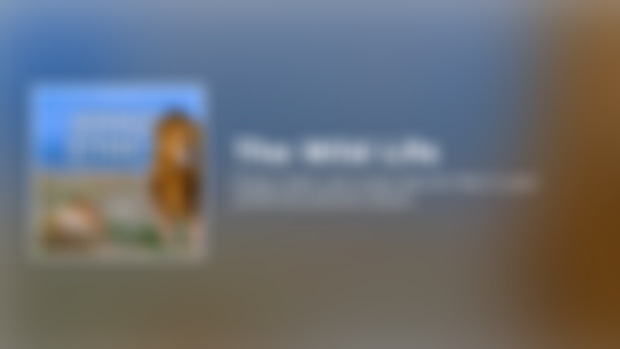 Early Access! Animal Ethics with Maggie Herskowitz